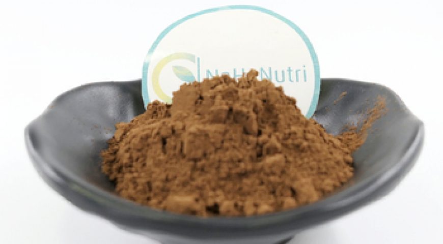 Excellent Quality Reasonable Price orginal shikakai powder