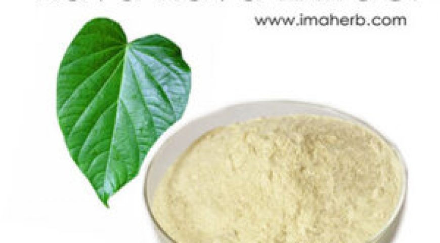 KAVA EXTRACT AND BENIFITS OF KAVA